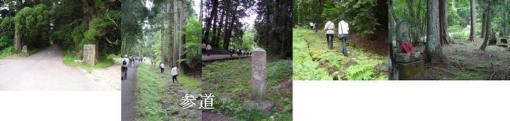 【平泉寺（白山神社）】　参道