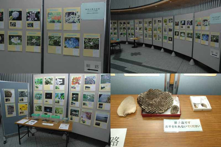 神奈川県の自然、生きものたちの写真展2009_1