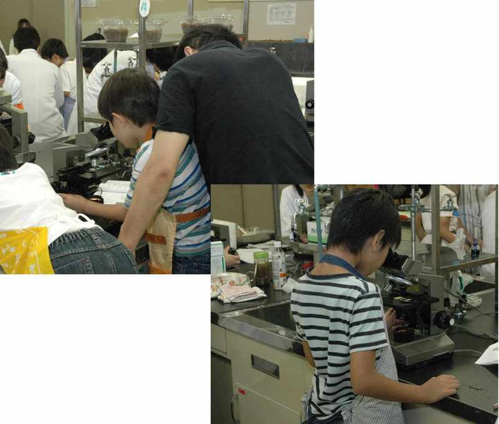 顕微鏡　水の中の生きものは見えたかな？
