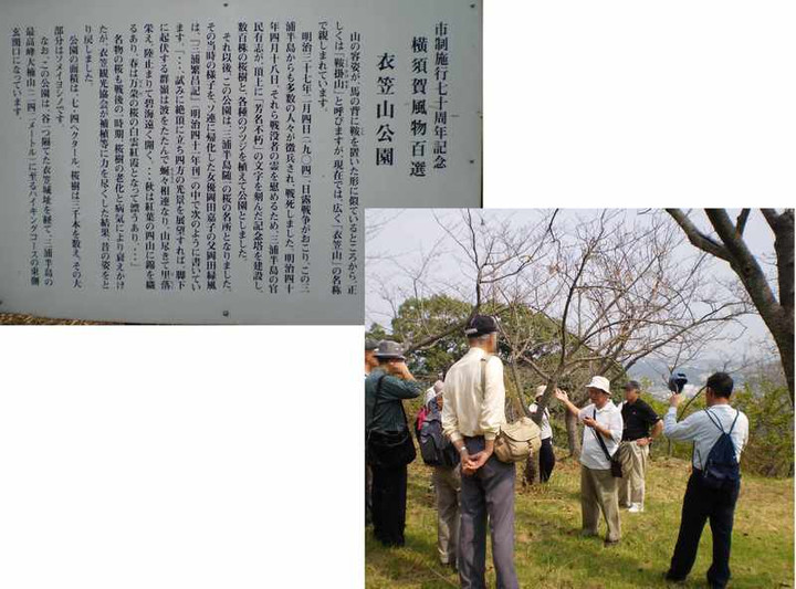 衣笠山公園