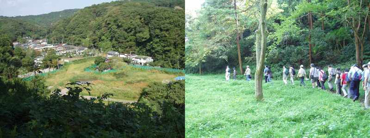永福寺跡を見下ろす