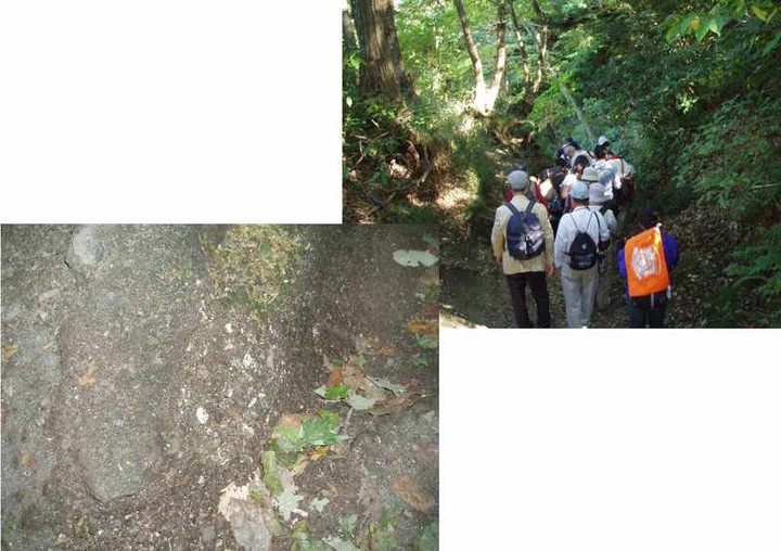【仮粧坂切通】地面には貝の化石