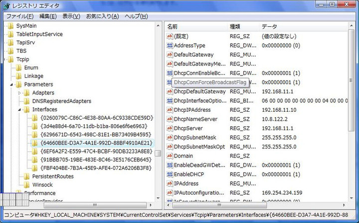 20100818dhcptroubleregedit