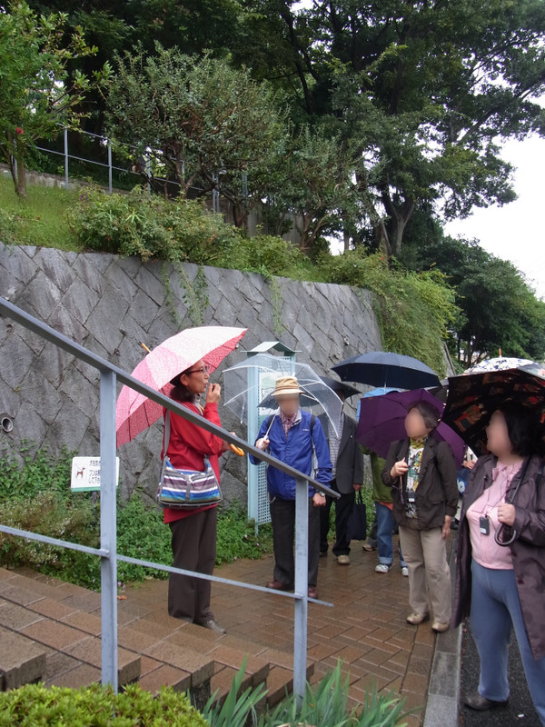 雨のフィールドワーク