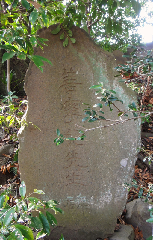 Dsc00954