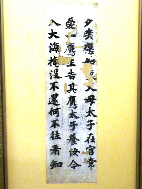 P1040429_s_s
