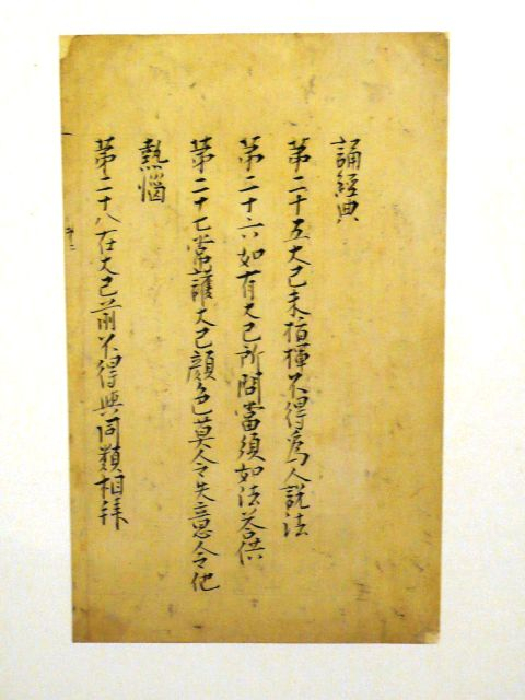P1040418_s_s