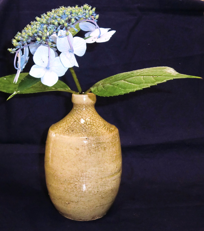 Photo_3