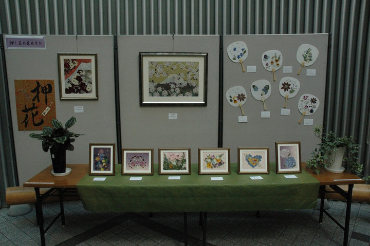 Photo_4