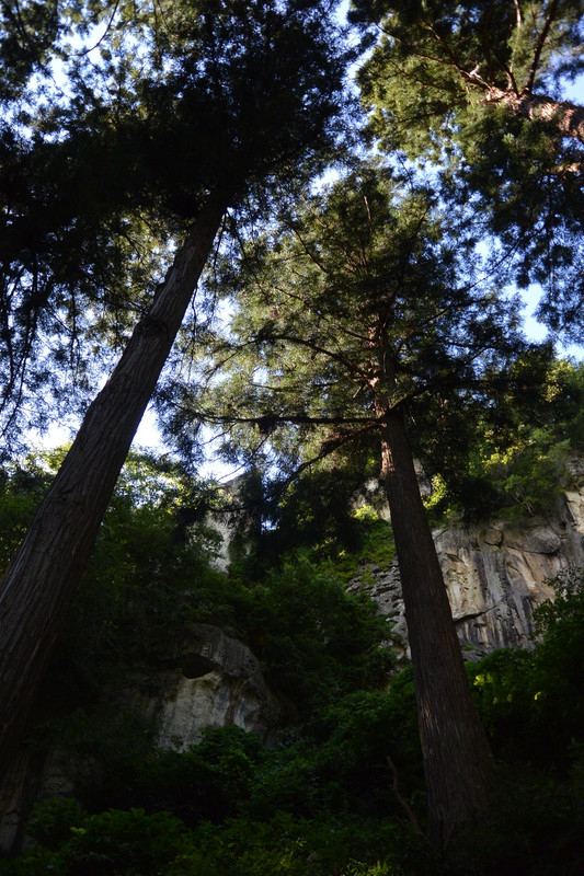 Dsc_3333