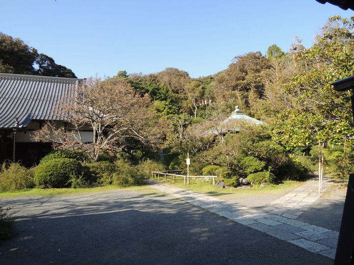 Photo_16