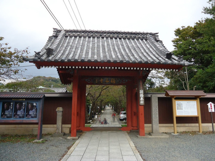 Photo_5