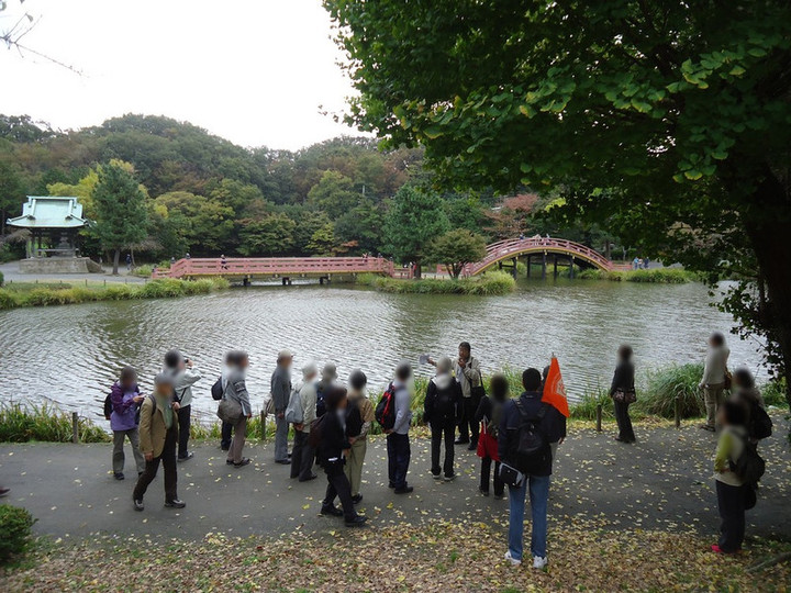 Photo_15