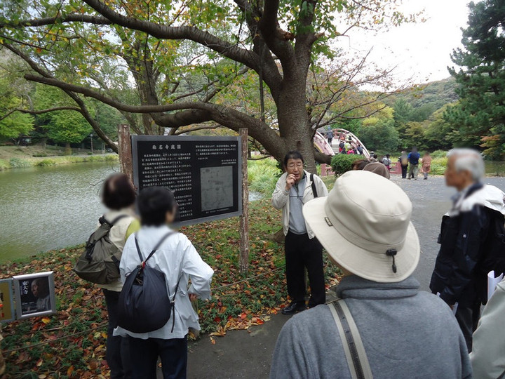 Photo_7