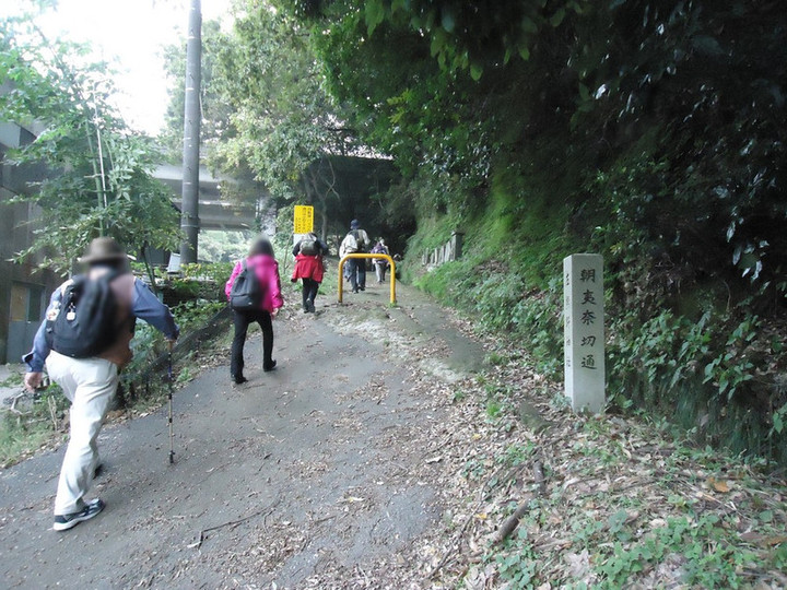 Photo_2