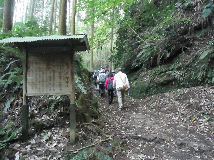 Photo_4