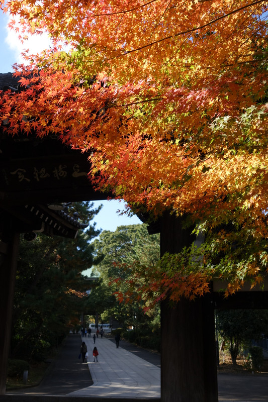 Dsc00385 Dsc00385