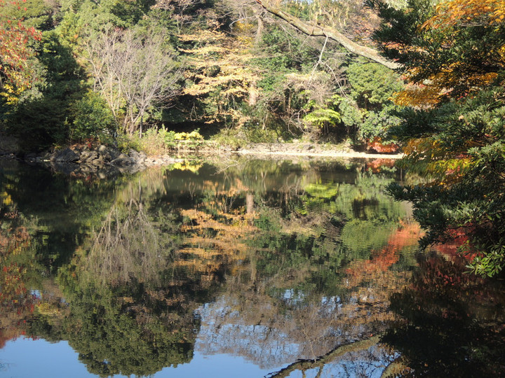 Dscn2614