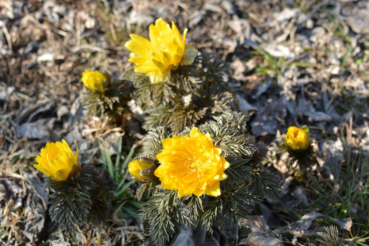 Dsc_4669 Dsc_4669