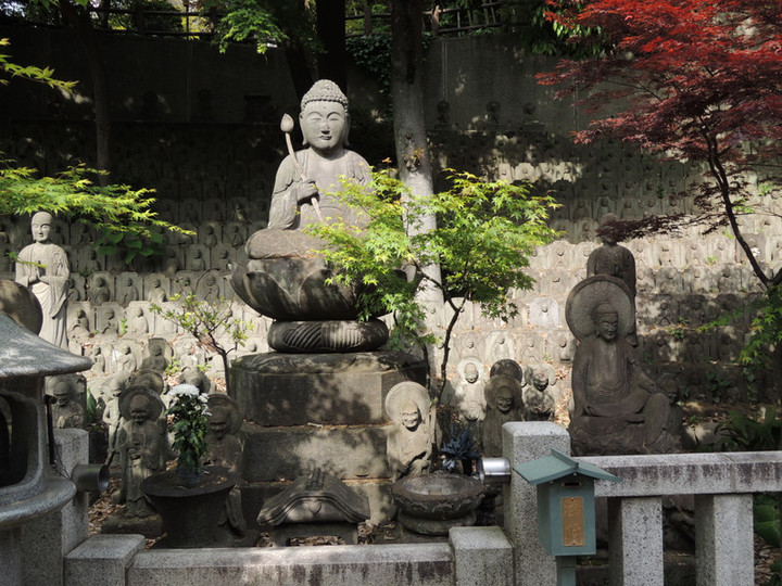 Dscn3014