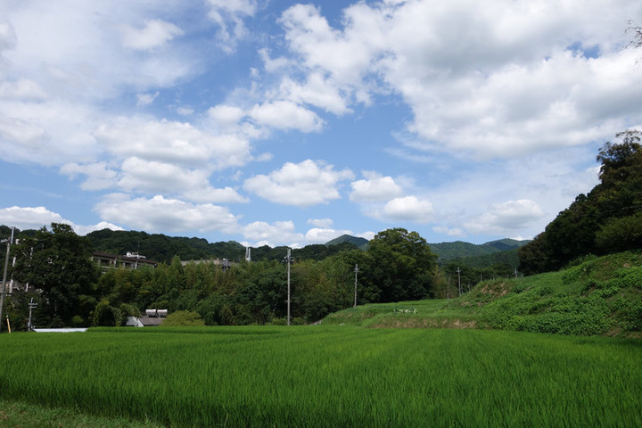 Dsc02052
