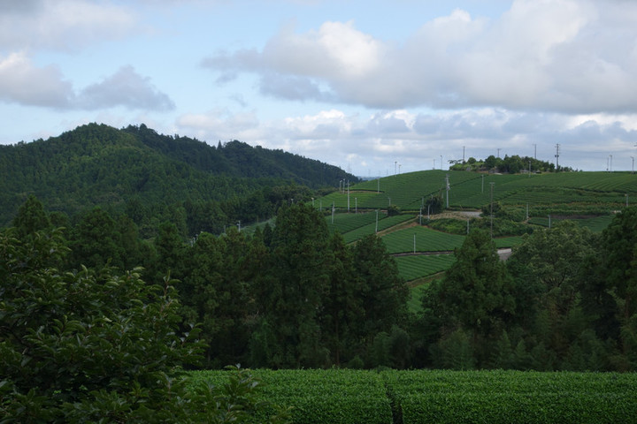 Dsc02192_2