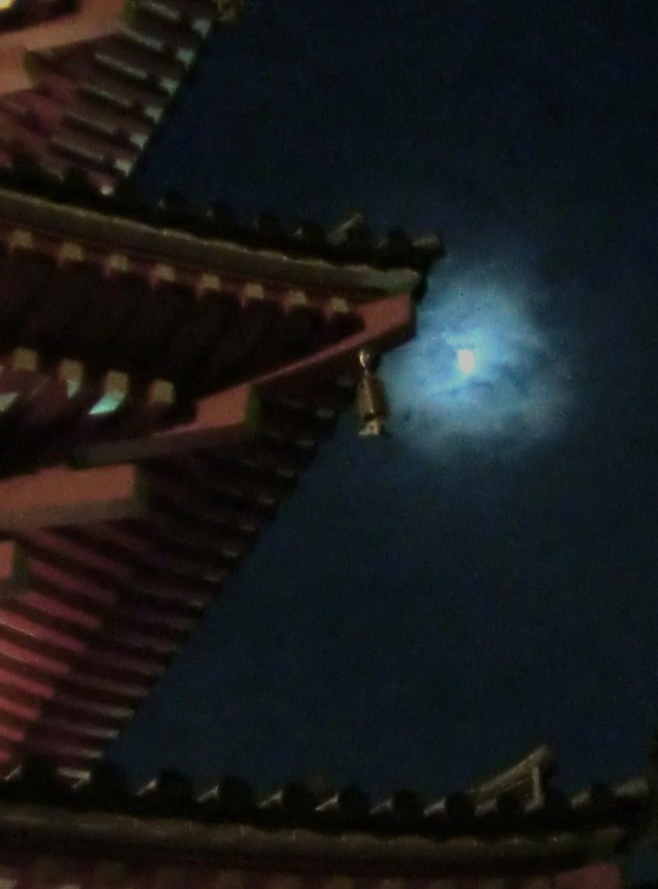 Photo_2 Photo_2