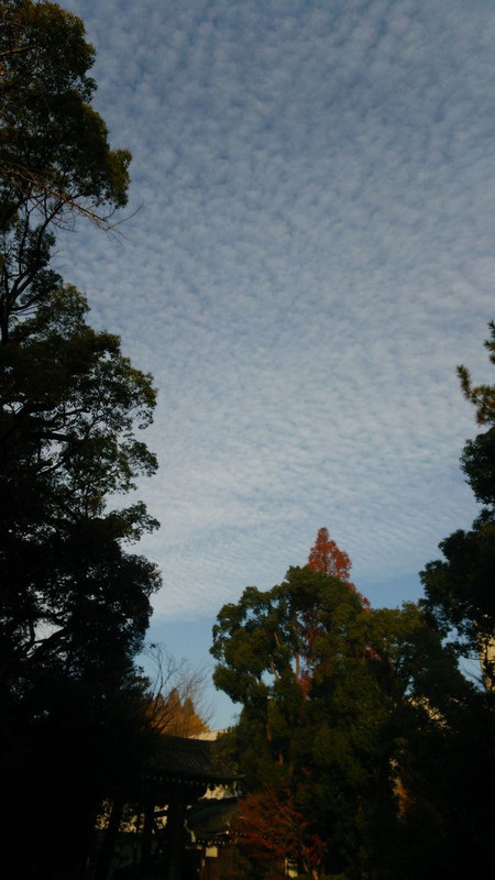 Dsc_4377_a_blog