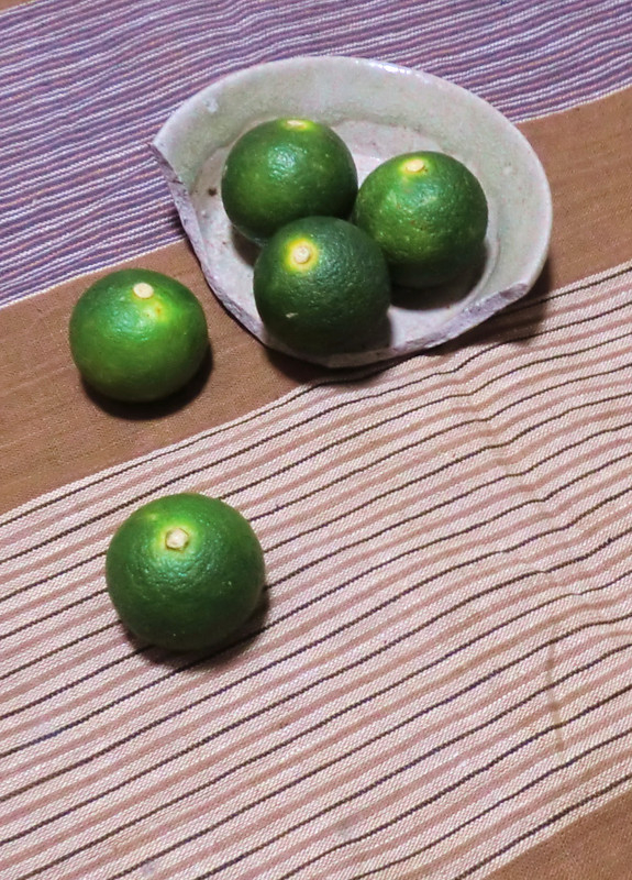 Photo_2