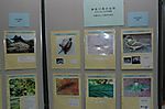 総持学園内動植物「神奈川県の自然 いきものたちの写真展（第14回）」