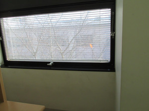 最後の一葉（とは言っても、画面の外にはまだ葉は残っているのです）：鶴見大学図書館