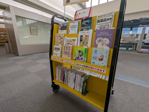 Pxl_20251128_005715354mp Pxl_20251128_005715354mp