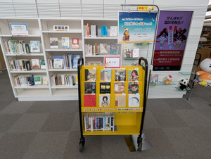 Pxl_20251128_005759641_2 Pxl_20251128_005759641_2