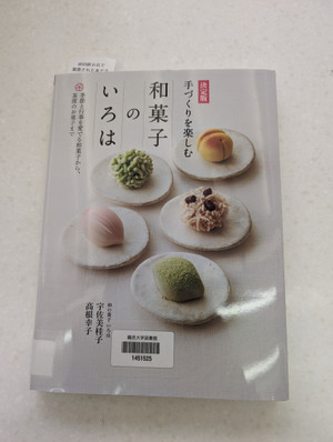 Pxl_20251212_014108394_2