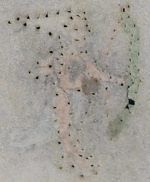 Photo6_2
