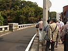 桜道橋